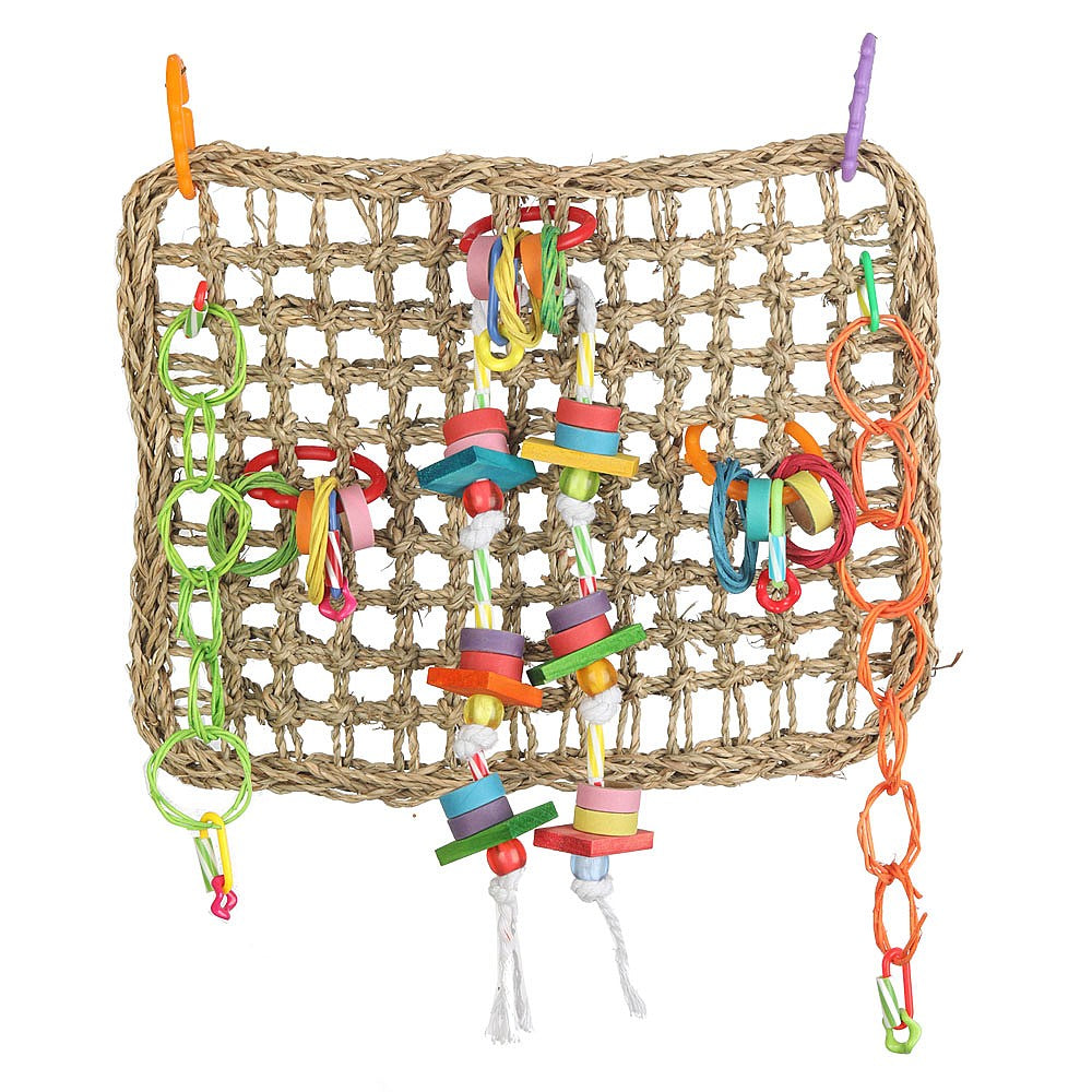 Activity Wall Chewable Parrot Toy