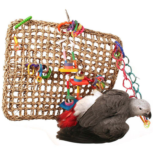 Activity Wall Chewable Parrot Toy