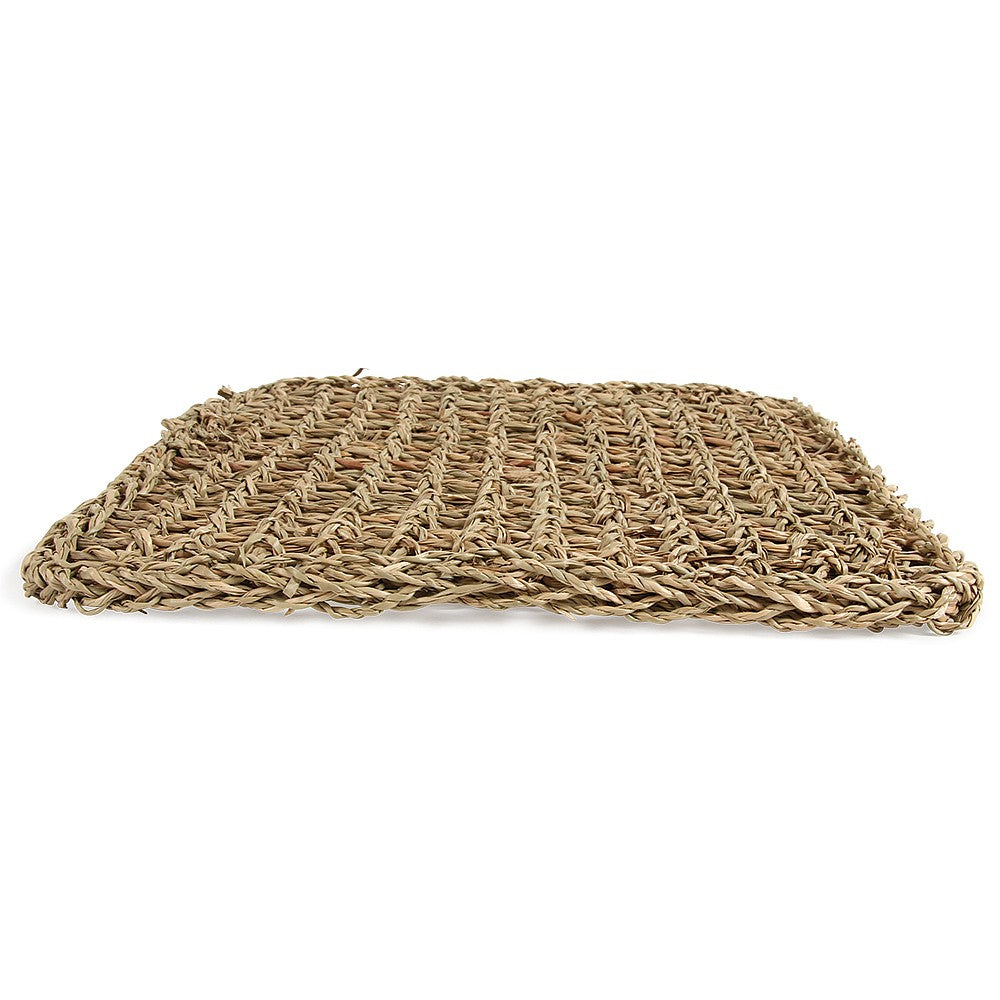 Seagrass Mat Parrot Toy Making Part - Large
