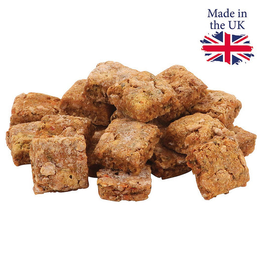 Parrot Cafe Palm Oil Pizza Slice Treats for Parrots - 100g