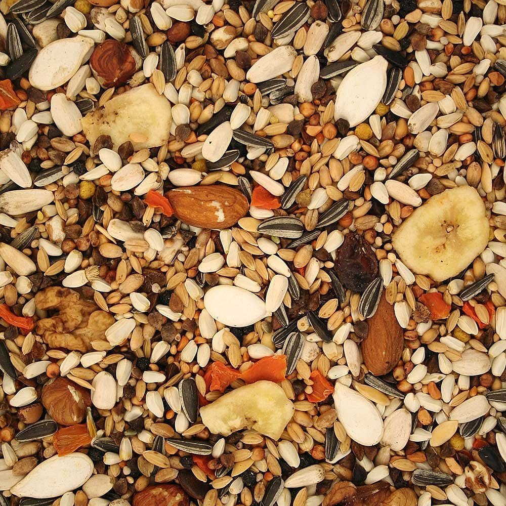 Parrot Premium Professional Seed - 2.5Kg