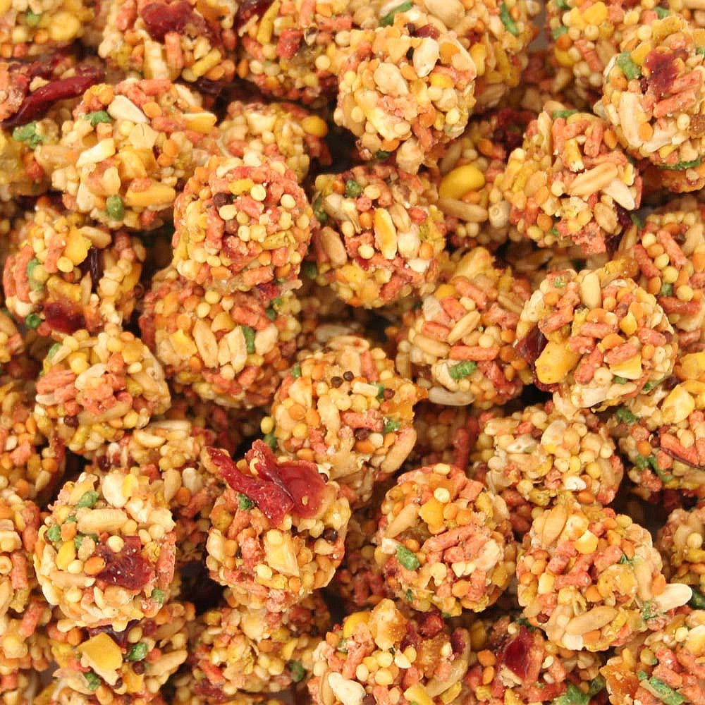 Lafeber NutriBerries Sunny Orchard Parrot - 284g