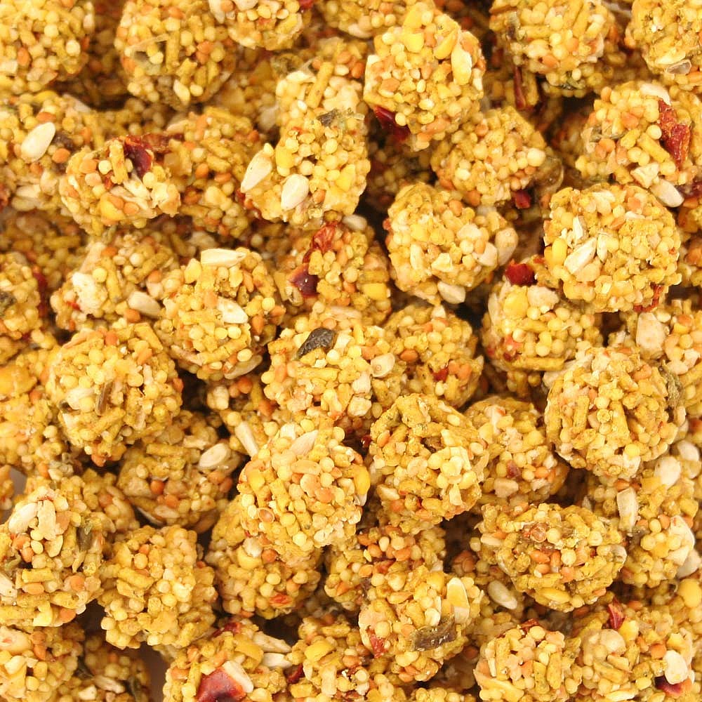 Lafeber NutriBerries Spicy El Paso Parrot - 284g