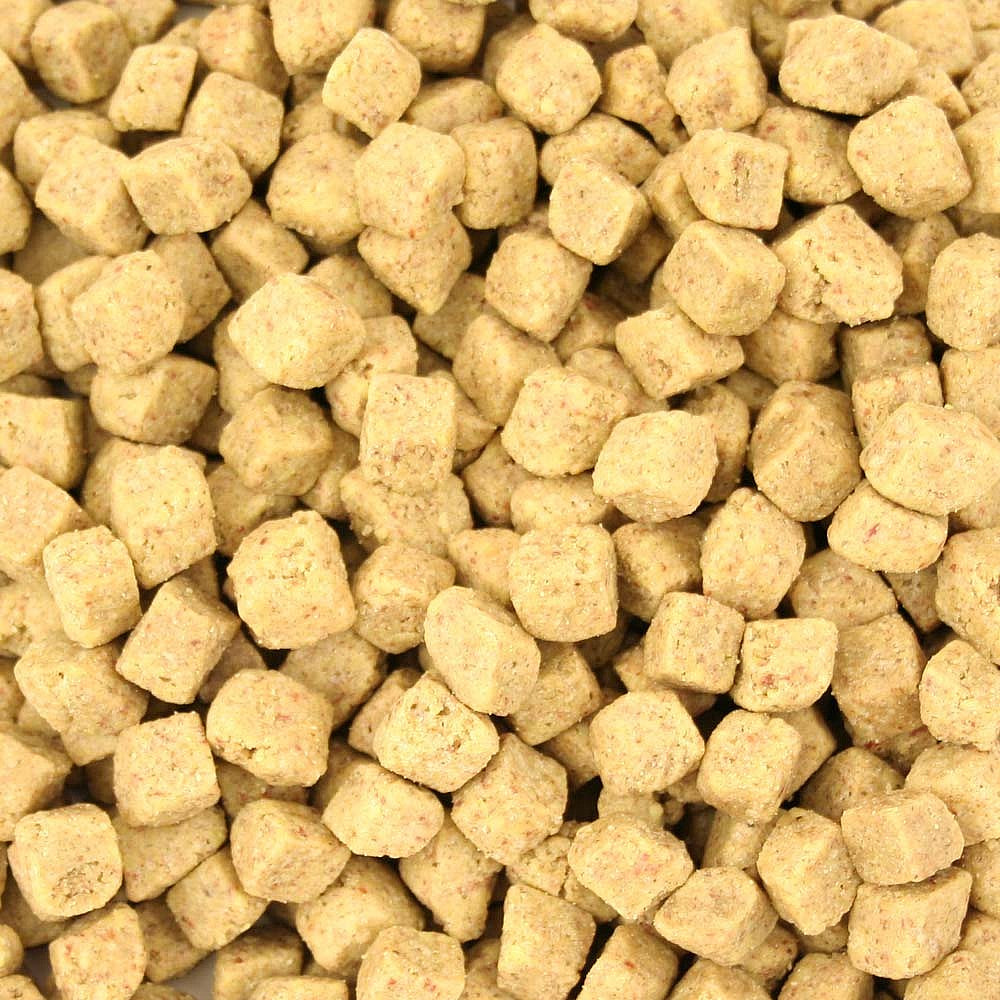 Harrison`s Power Treats - 1lb - Organic Treats for Parrots