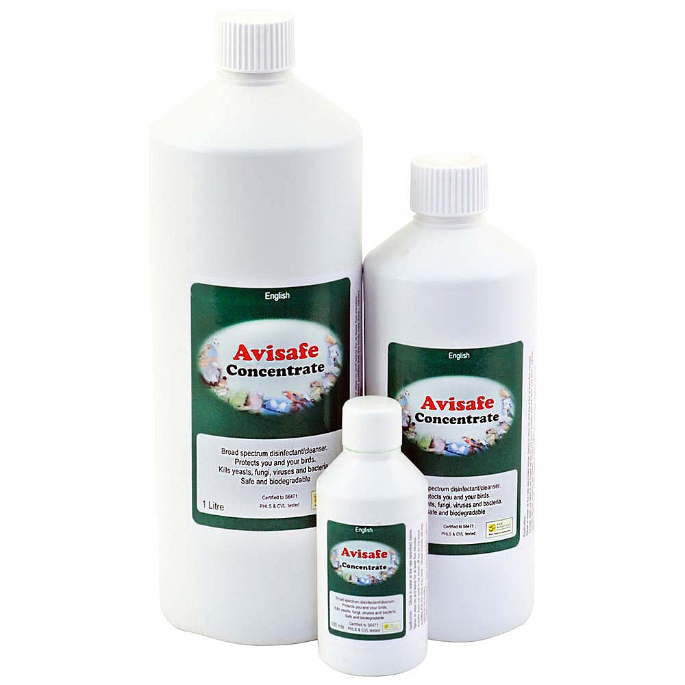 Avisafe Concentrated Disinfectant 100ml