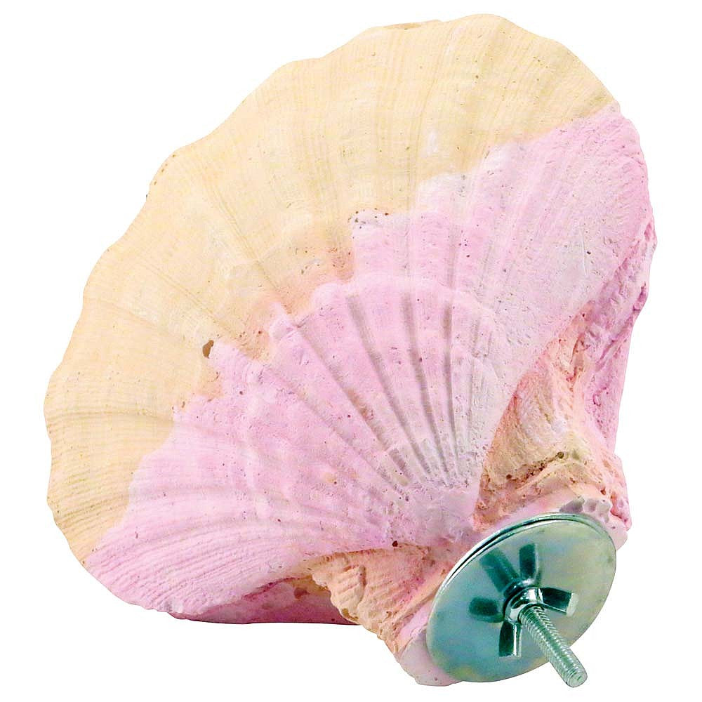 Large Edible Calcium Clam Parrot Perch – Mineral Chew & Foot-Health Perch | ShopParrots  Meta Description