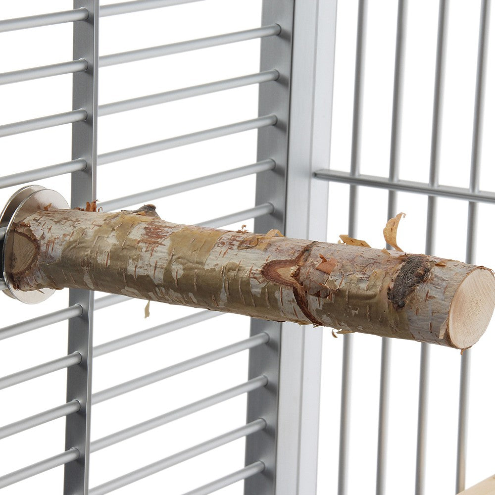 Birch Branch Parrot Perch Small – Natural Birch Wooden Perch | ShopParrots