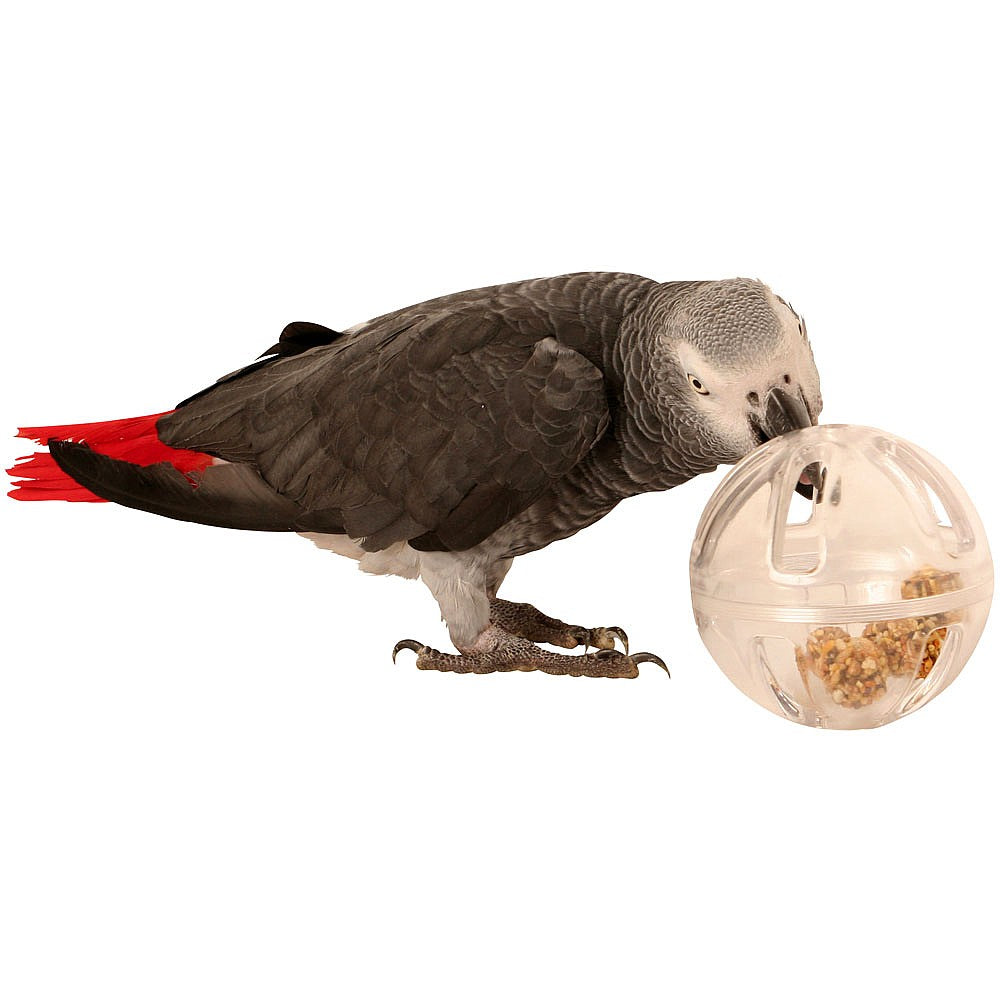 Creative Foraging Buffet Party Ball Foraging Parrot Toy