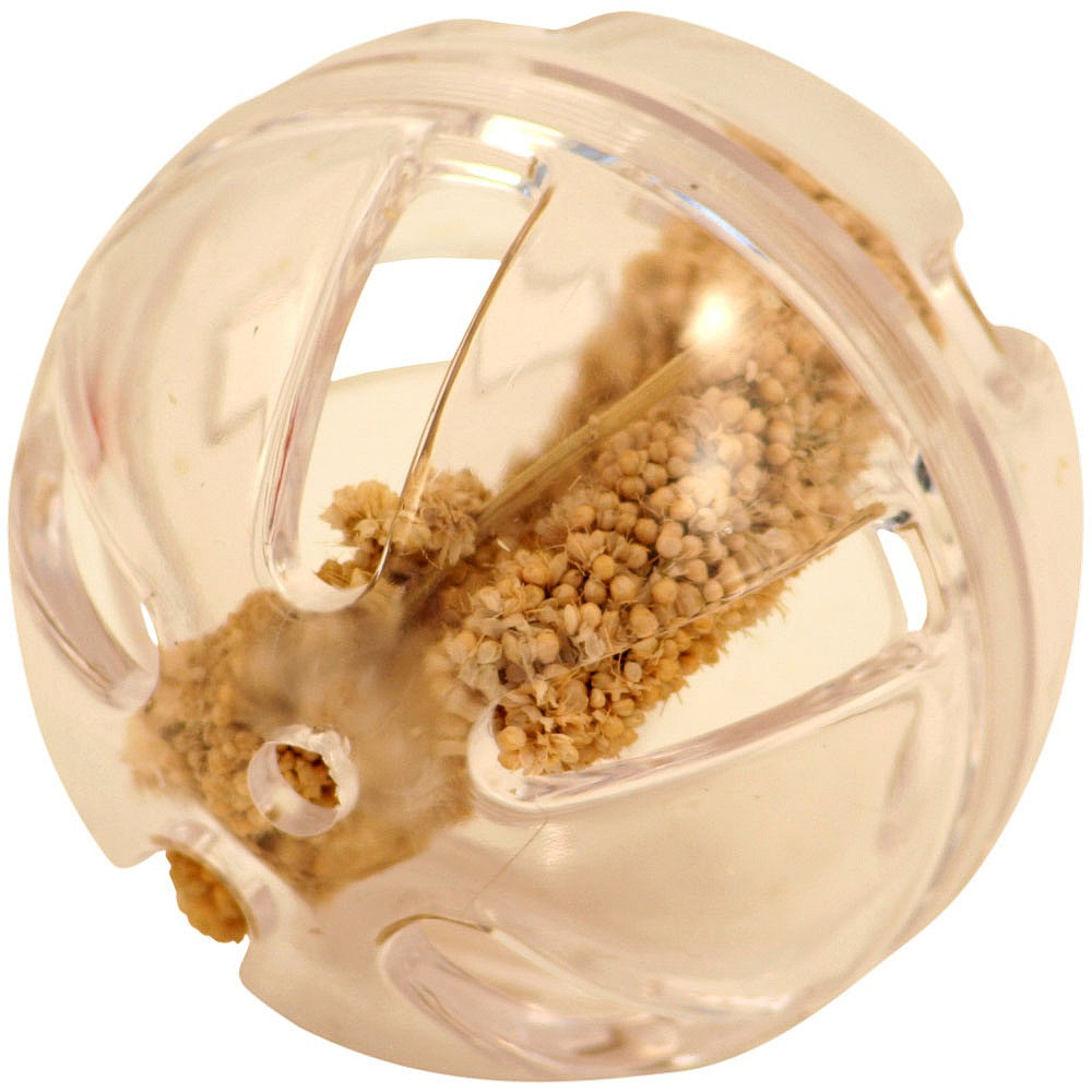 Creative Foraging Buffet Party Ball Foraging Parrot Toy