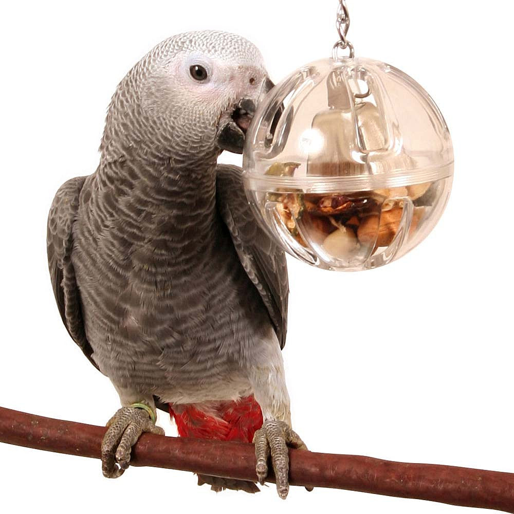 Creative Foraging Buffet Ball with Bell Foraging Parrot Toy