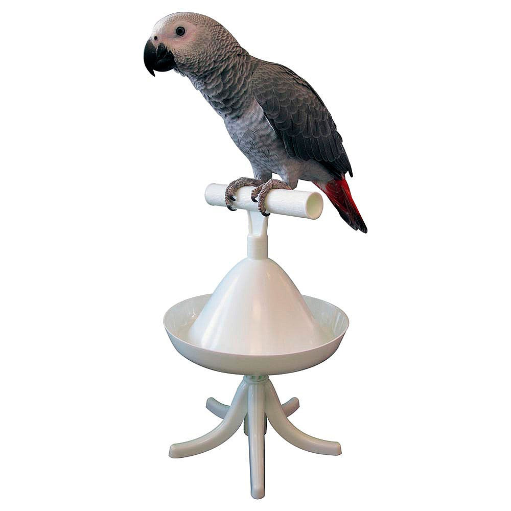 The Percher – Portable Parrot Training Perch | ShopParrots