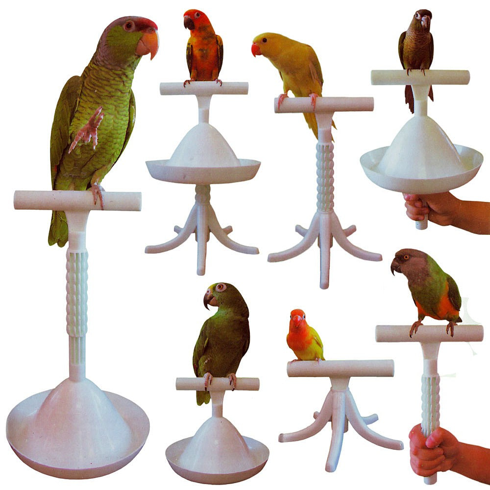 The Percher – Portable Parrot Training Perch | ShopParrots