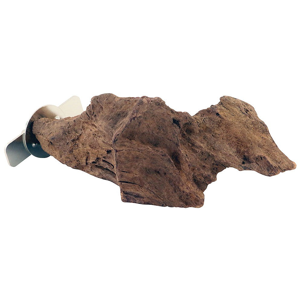 Mangrove Lounge Parrot Perch – Natural Resting & Climbing Perch | ShopParrots