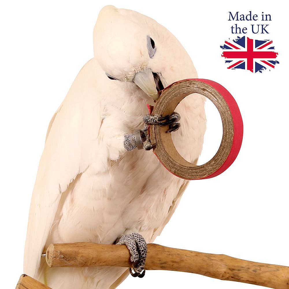 Birdie Bangles Small Chewable Parrot Toy Pack of 100