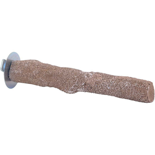 Medium Beach Branch Edible Parrot Perch – Seashell Mineral Perch