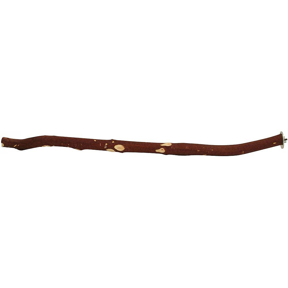 Manzanita hardwood perch 18″ (45 cm) small size for small parrots – natural branch perch to support foot health