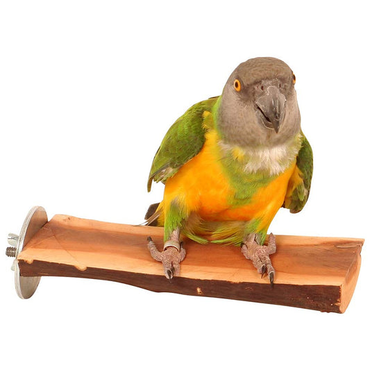 Manzanita Flat Parrot Perch – Small | Natural Hardwood Parrot Platform